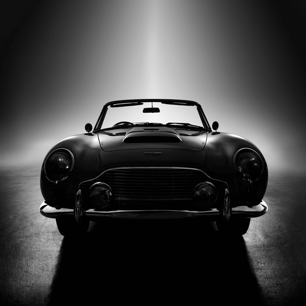 Forever Bond de la serie «Black Beauties» by René Staud